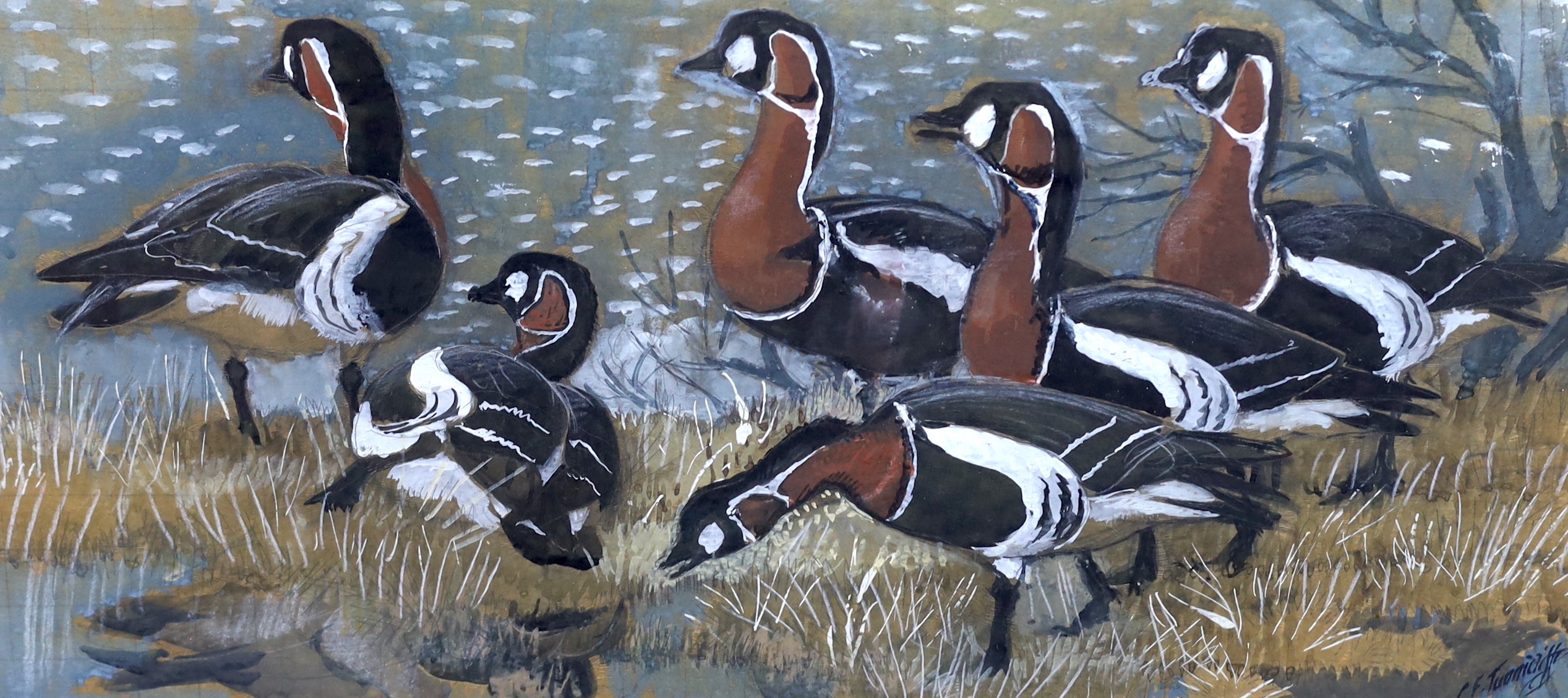 Charles Frederick Tunnicliffe (English, 1901-1979), Geese on the shoreline, watercolour heightened with white, 32 x 66cm